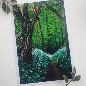 Evergreen Woodlands Print