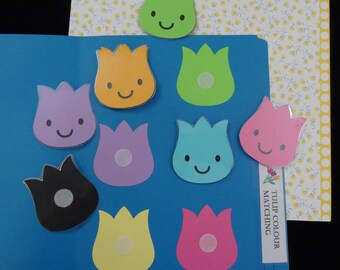 Tulip Colour Matching Folder