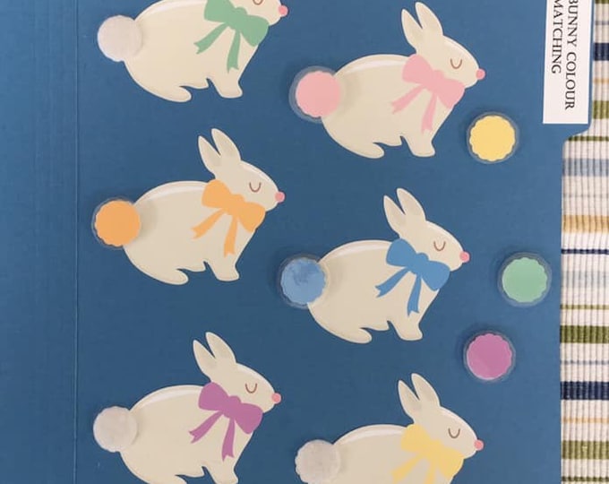 Bunny Colour Matching Folder