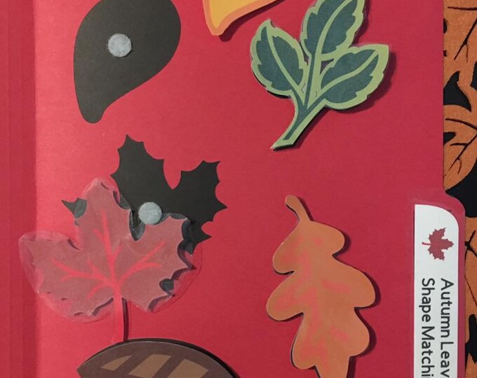 Autumn Leaf Shape Matching Folder