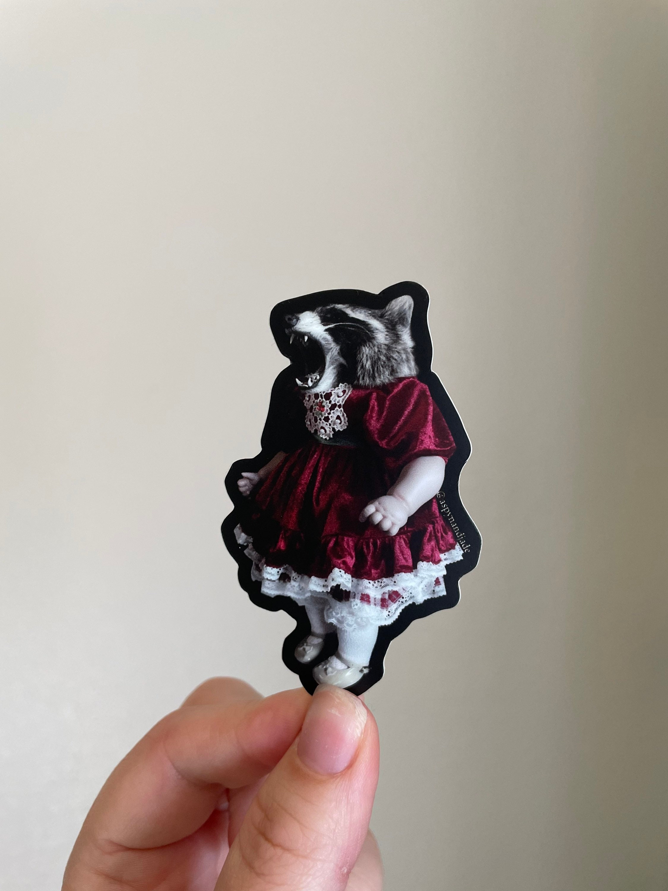 STICKER- Angry Raccoon | Oddity Sticker | Weird Taxidermy | Oddities ...