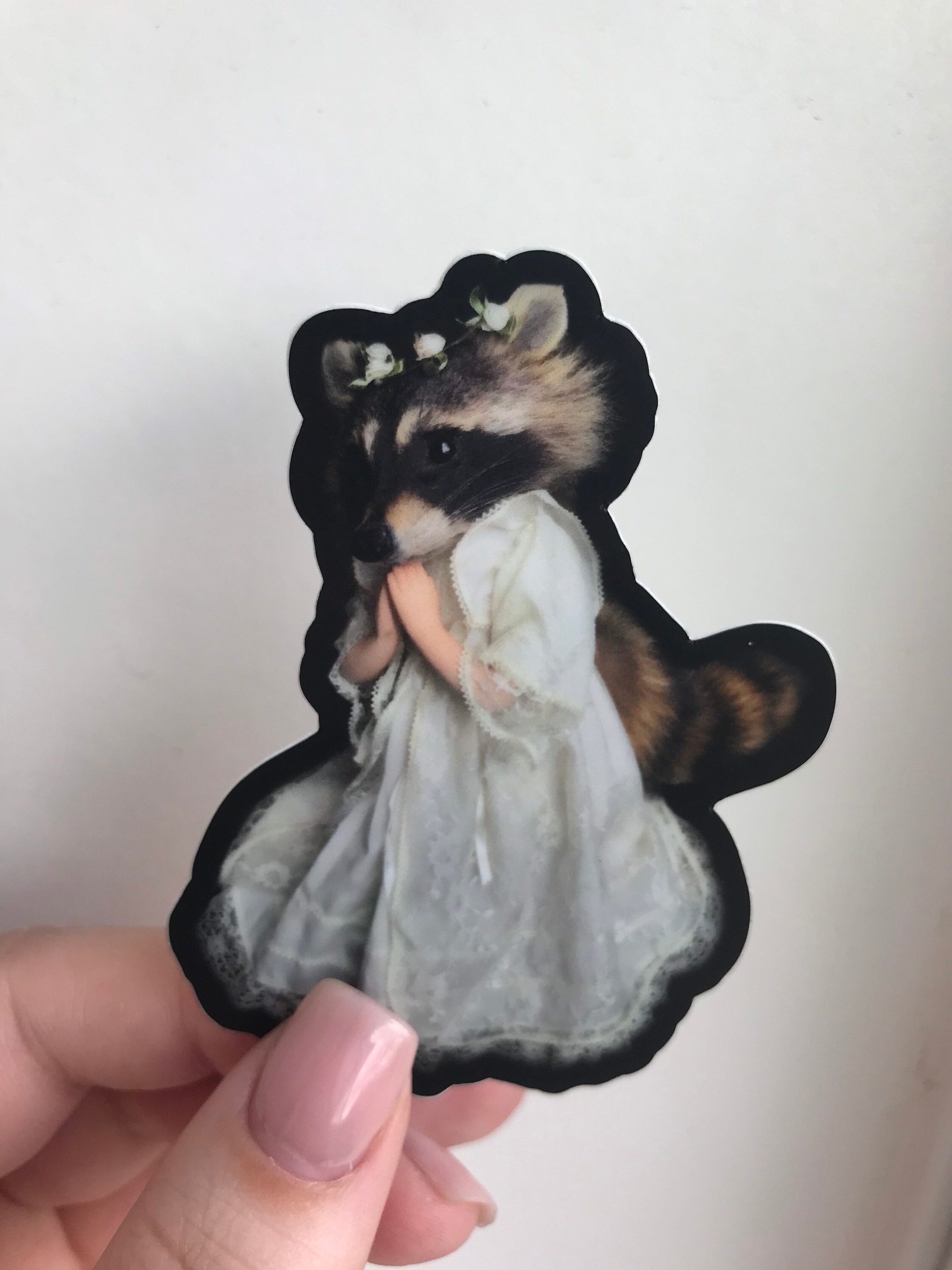 STICKER Praying Raccoon Sticker Oddity Sticker Raccoon - Etsy