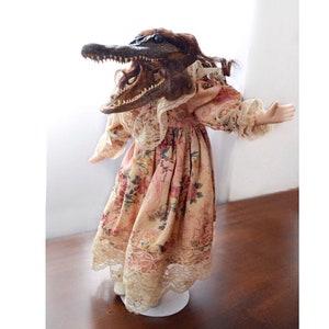 Wednesday Alligator Taxidermy Doll alligator doll taxidermy doll oddity doll creepy doll alligator head real alligator head doll