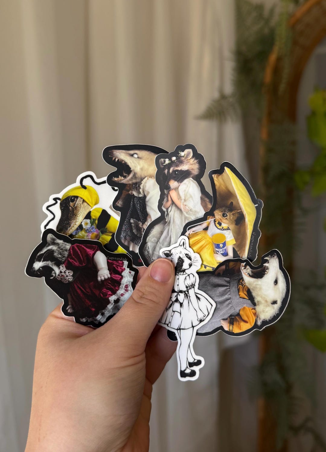 Sticker BUNDLE of 7 | Praying Raccoon | Angry Opossum | Oddity ...