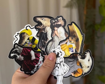 PAQUETE DE 7 pegatinas / mapache rezando / zarigüeya enojada / rareza / pegatina de mapache / rarezas / pegatina impermeable / pegatinas raras / divertido