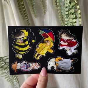 sticker SHEET | raccoon | opossum | oddity | sticker | oddities | waterproof sticker | weird stickers | funny