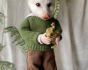 opossum with a frog