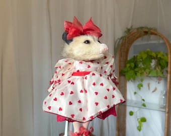 taxidermy opossum doll