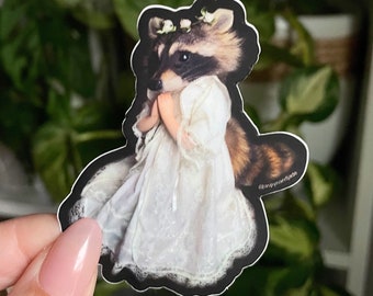 STICKER praying raccoon sticker | oddity sticker | raccoon sticker | oddities stickers | waterproof sticker | weird stickers |