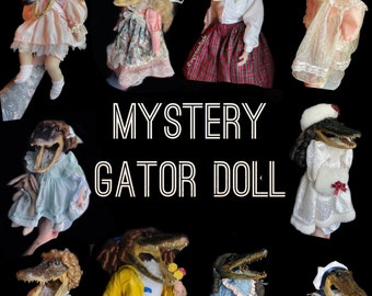 surprise gator doll | mystery gator doll | mystery box