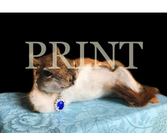 PRINT “draw me like one of your french squirrels”