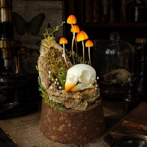May include: A decorative display featuring a small white bird skull with an orange beak, positioned on a piece of textured bark covered in green moss. Five bright orange mushrooms on thin stalks grow from the bark, surrounded by tiny white buds.