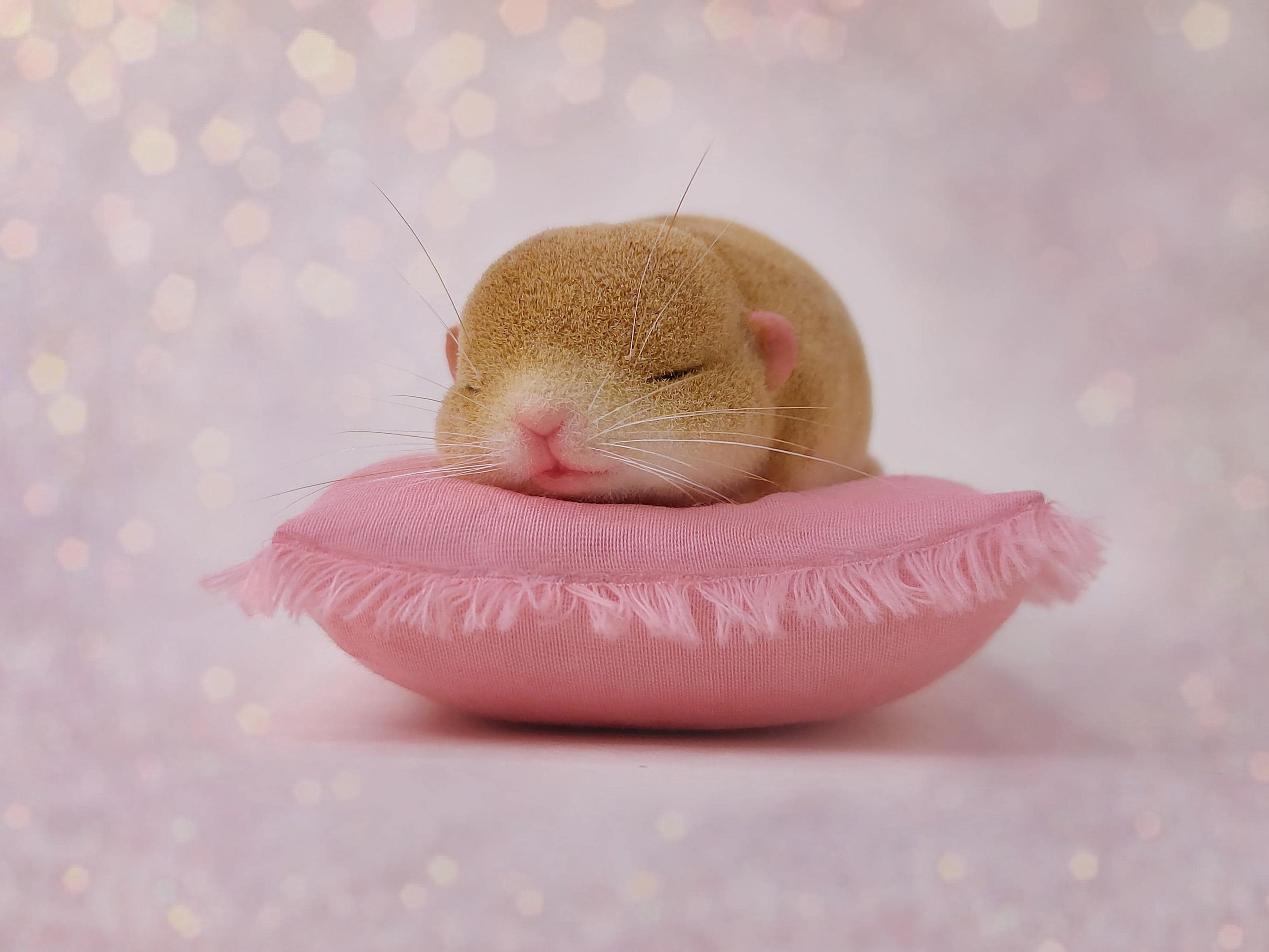 Fat-tailed Gerbil. Small Sleeping Gerbil. OOAK. Collection Realistic  Figurine. Cute Handmade Mouse - Etsy