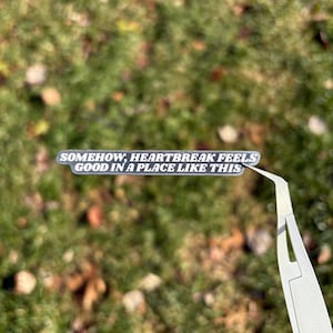 Somehow, Heartbreak Feels Good in a Place Like This: sticker or magnet