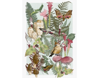 Motten- en paddenstoelenkunstprint/botanische aquarel/muurprint-3 beschikbare maten