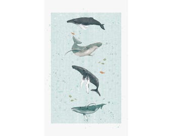 Humpback Whale Watercolor Art Print – Ocean Sea Life Wall Poster (3 Sizes)