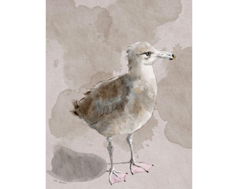 Juvenile Seagull Watercolor Art Print – Minimalist Neutral Bird Poster