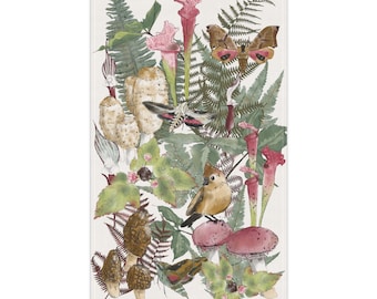 Puede incluir: Una ilustración caprichosa que presenta una variedad de flora y fauna, incluyendo hongos, helechos, un pájaro, mariposas y plantas de jarra. La obra de arte está realizada en un estilo realista con colores vibrantes y detalles intrincados.