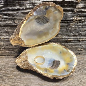 large oyster shell proposal ring box/seashell ring box/ seashell ring dish G