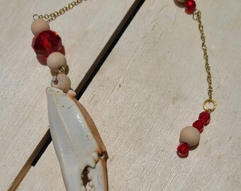 Crab claw pendulum, wicca, dowsing, cleansing, sea witch, divination