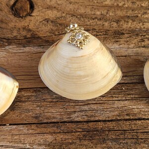 Clam Shell Rin Box, Proposal Box, Seashell Ring Box, Sheshell Rung Dish ...