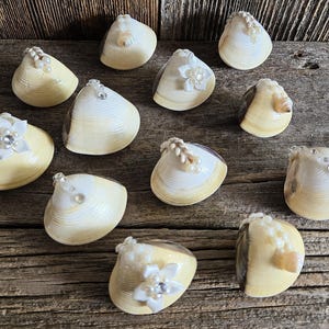 Clam shell ring box, proposal box, seashell ring box, sheshell ring dish