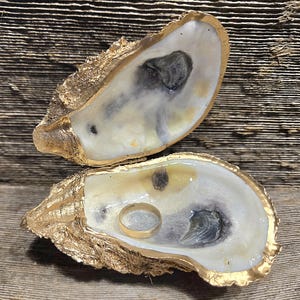 large oyster shell proposal ring box/seashell ring box/ seashell ring dish L