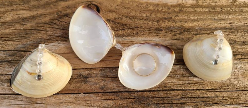 Clam Shell Rin Box Proposal Box Seashell Ring Box Sheshell - Etsy