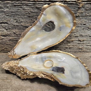 Extra large oyster shell proposal ring box/seashell ring box/ seashell ring dish J