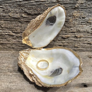 large oyster shell proposal ring box/seashell ring box/ seashell ring dish C