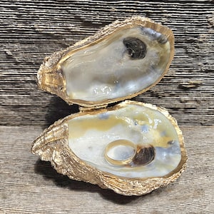large oyster shell proposal ring box/seashell ring box/ seashell ring dish H