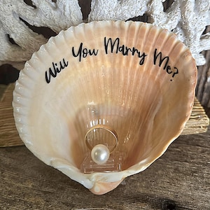 May include: A large, light-colored seashell with the text "Will You Marry Me?" in black script. Inside, a gold ring with a pearl is displayed on a clear stand, suggesting a proposal. The shell rests on a wooden surface.