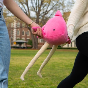Fish With Legs Plushie (Pink) Big