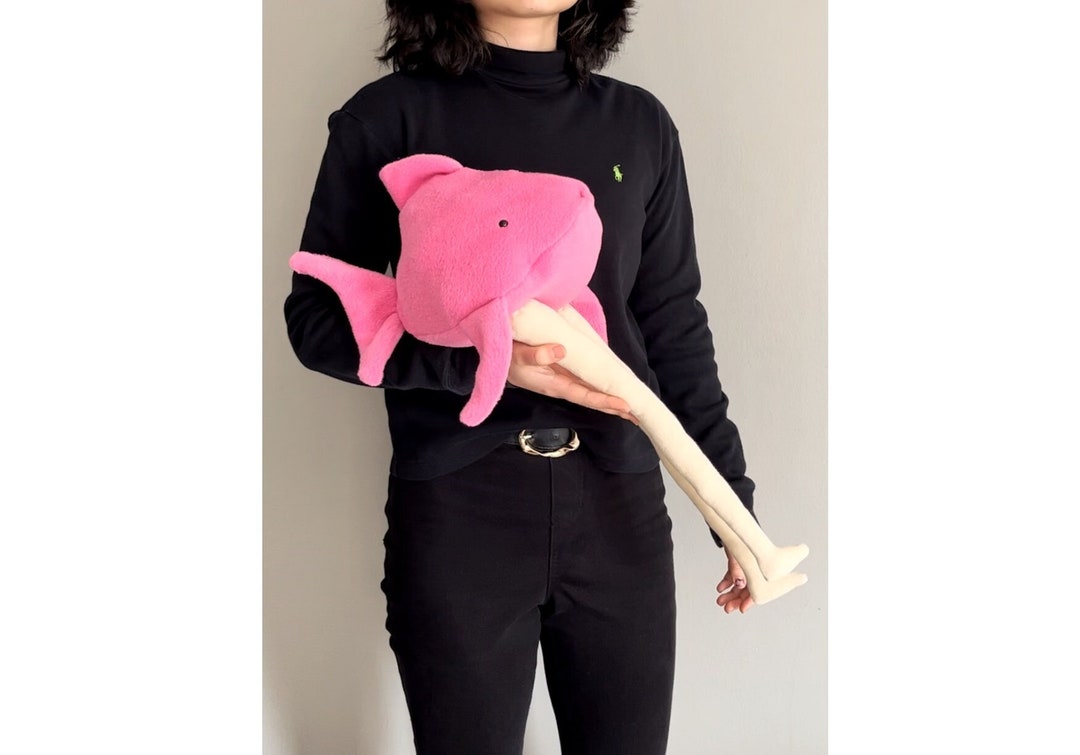 Fish With Legs Plushie (Pink) Big