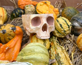 Skull Planter | 3D Printed | Hand-painted | Gothic | Houseplants Pots & Planters