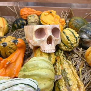 Skull Planter | 3D Printed | Hand-painted | Gothic | Houseplants Pots & Planters