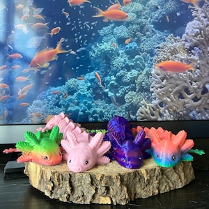 Articulated Axolotl Wiggler | 3D Printed | Hand-Painted | ADHD Fidget Toy