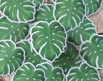 Naklejka winylowa Monstera Deliciosa Clear | 3x2,5” | Rośliny doniczkowe | Roślina sera szwajcarskiego | Naklejka na laptopa i butelkę z wodą | Darmowa wysyłka