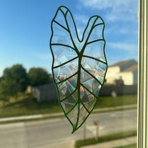 Leaf Suncatchers | Houseplants | Anti-Collision for Birds