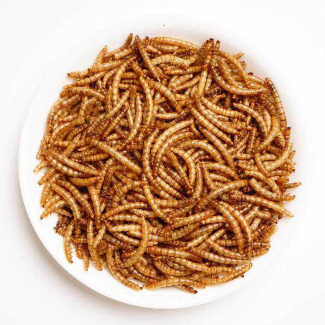 Appetizing Mealworms 5lbs100 Nongmo Dried Mealworms Etsy