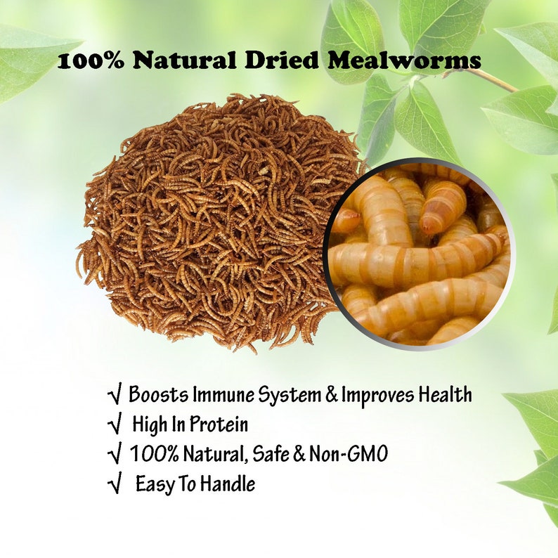 100 Nongmo Dried Mealworms 5lbs Highprotein Meal Worm Treats perfect