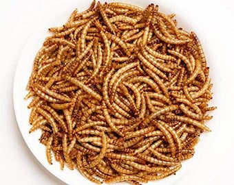 Dried Mealworms Premium, Non GMO, High Protein ,Treats Perfect for Chickens,Ducks,Wild Birds,Turtles,Hamsters,Fish,and Hedgehogs