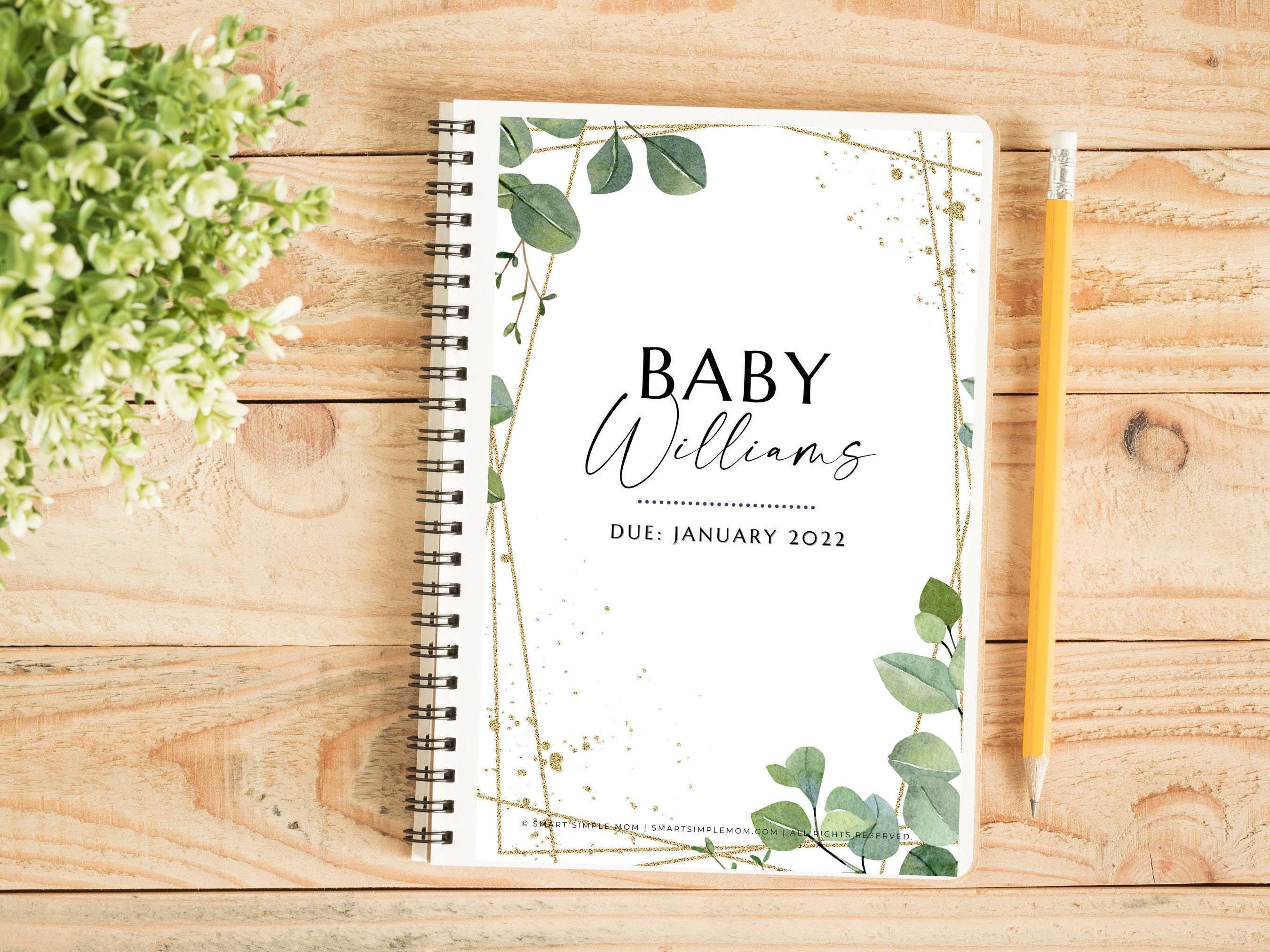 The Pregnancy Journal: A Beautiful And Modern Pregnancy Planner