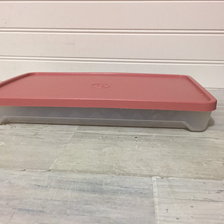 Vtg Tupperware Deli Meat Bacon or Hot Dog Storage Container Etsy