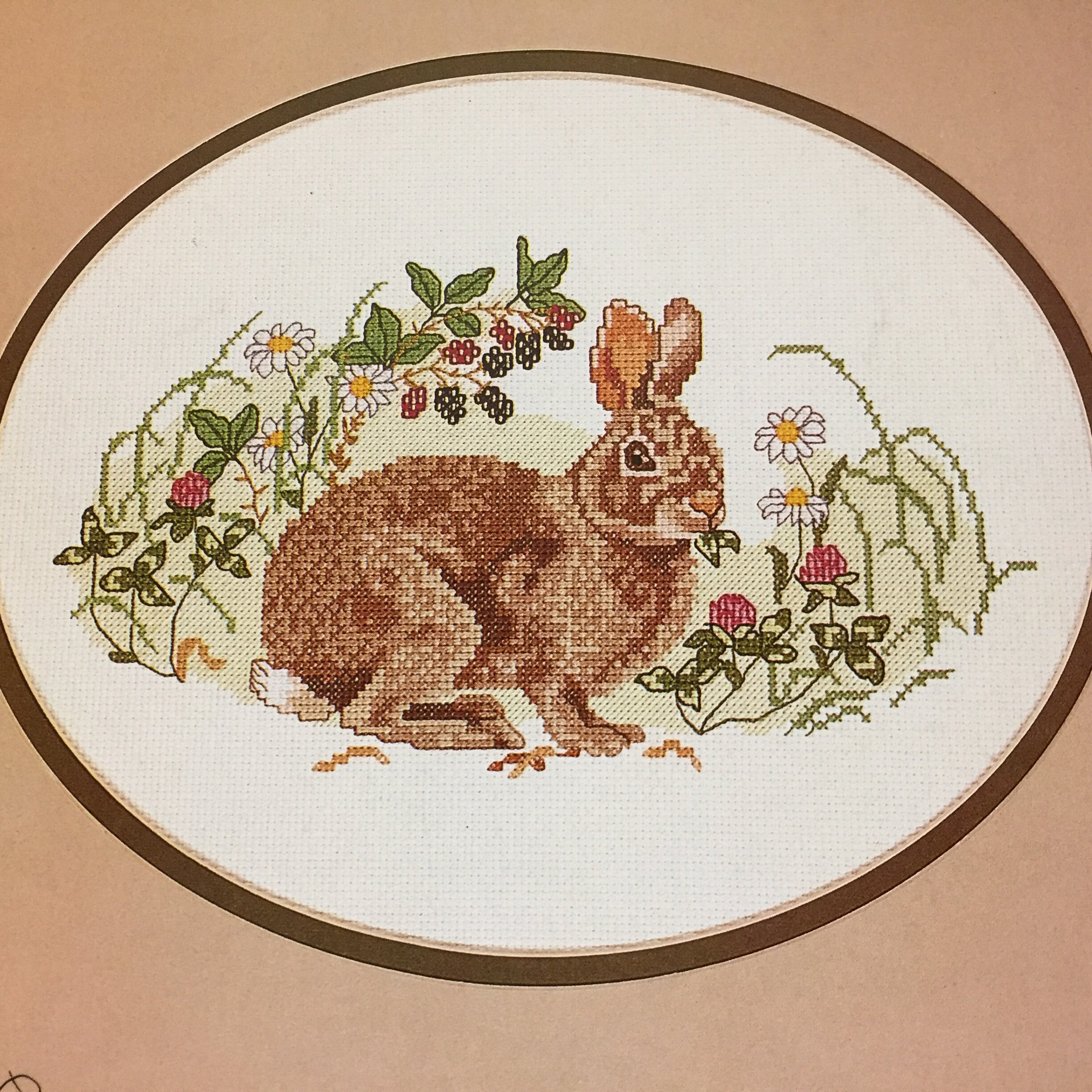 Eastern Cottontail Cross Stitch Pattern Booklet Leaflet - Etsy