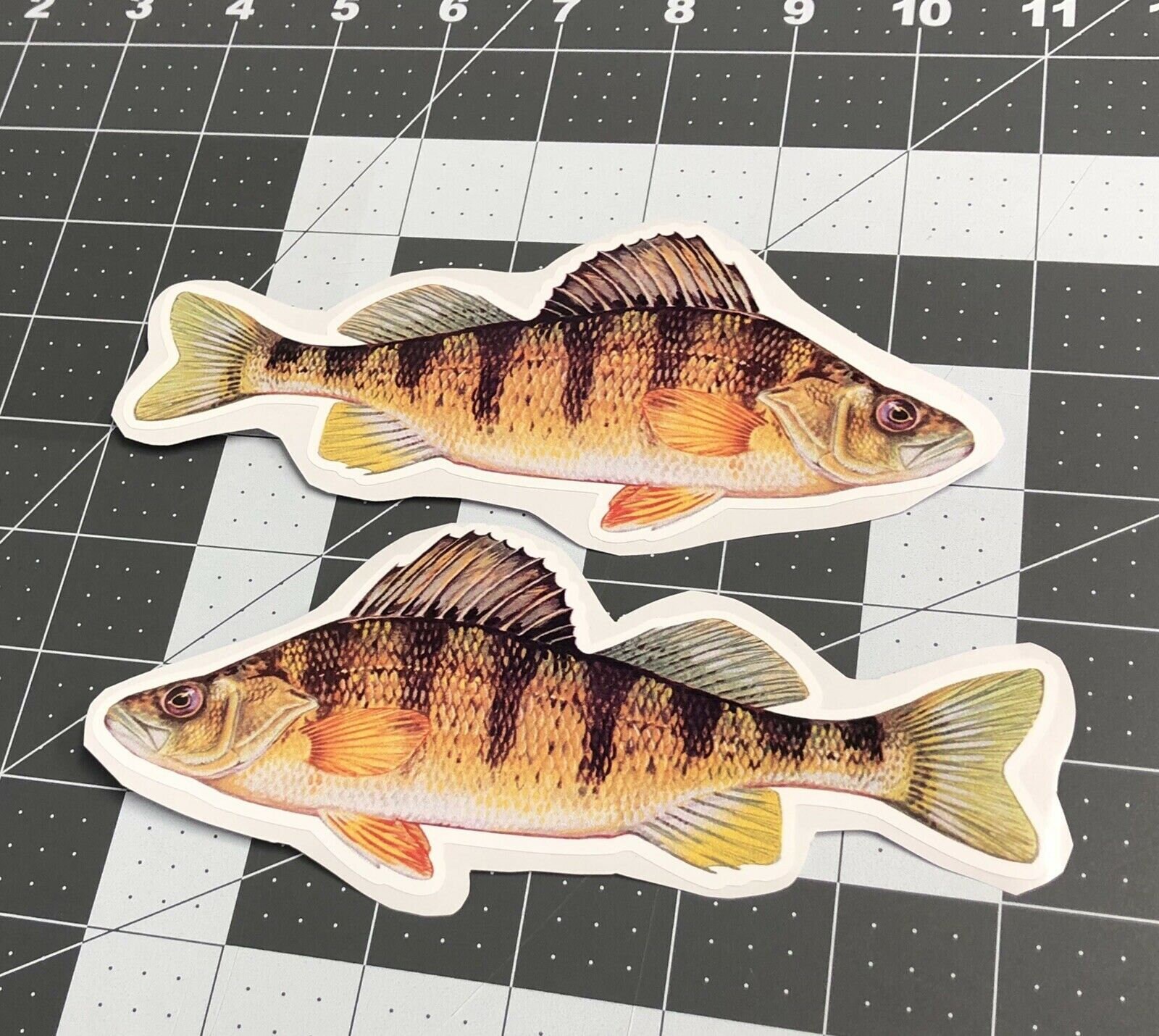 Walleye Sticker 