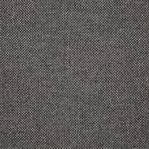 Sunbrella Nurture Charcoal (42102-0006) - Fabric by the Yard Indoor and Outdoor Upholstery Premium Fabric