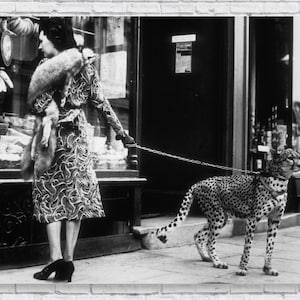 Leopard on a Leash Poster Print, Cheetah Print, Woman Walking Leopard Print, Large Cat Black and White Photo Vintage Retro Style Wall Art