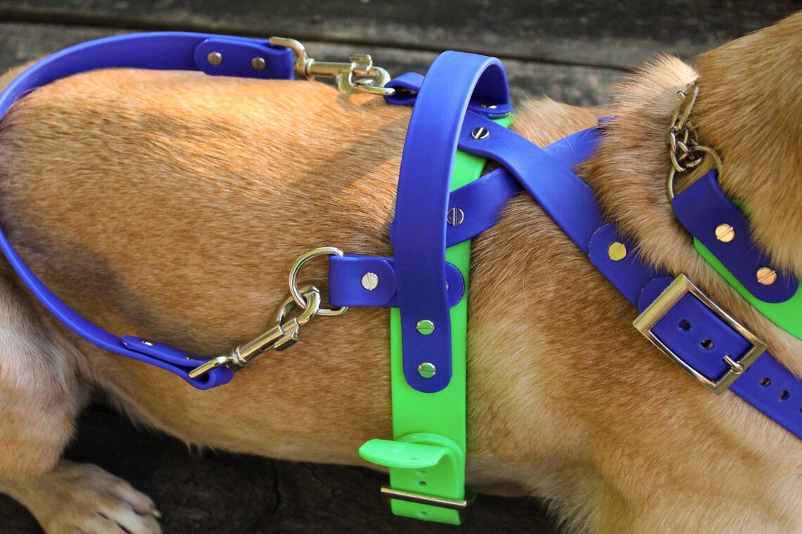 Biothane Y Front Service Dog Harness Etsy