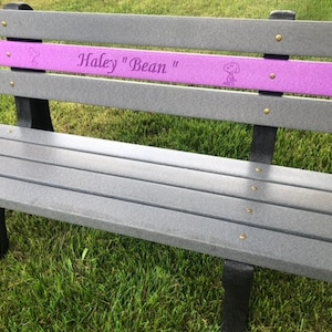May include: A gray wooden bench with a purple stripe across the back. The stripe has the text "Haley "Bean"" and a cartoon dog on it.